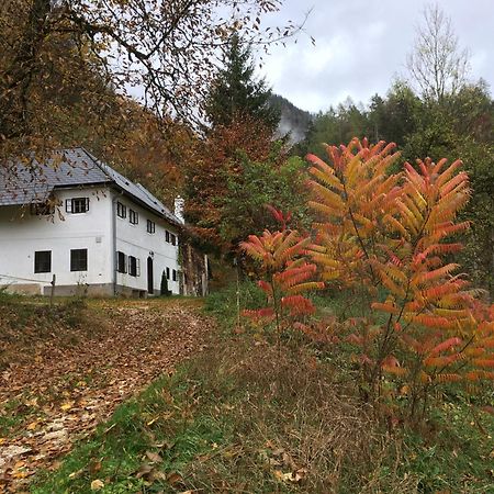 Forsthaus Gut Traunfried Villa Ramsau am Dachstein Exterior photo