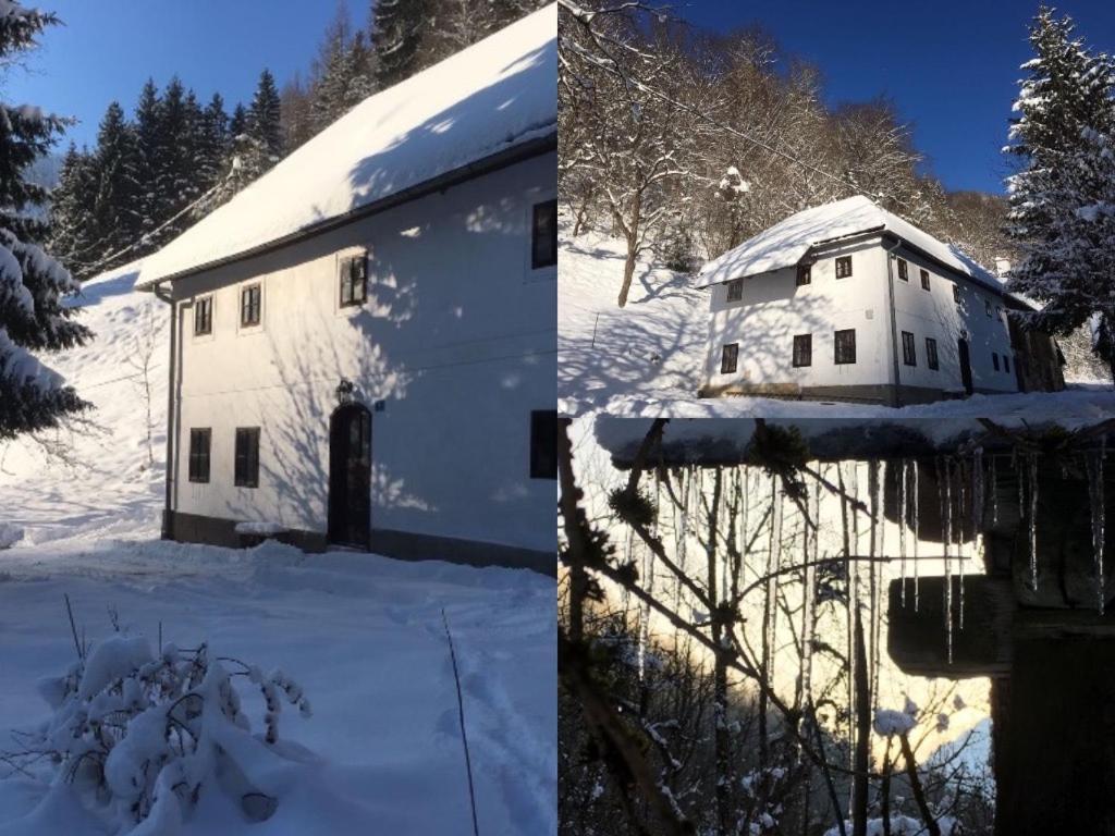 Forsthaus Gut Traunfried Villa Ramsau am Dachstein Exterior photo