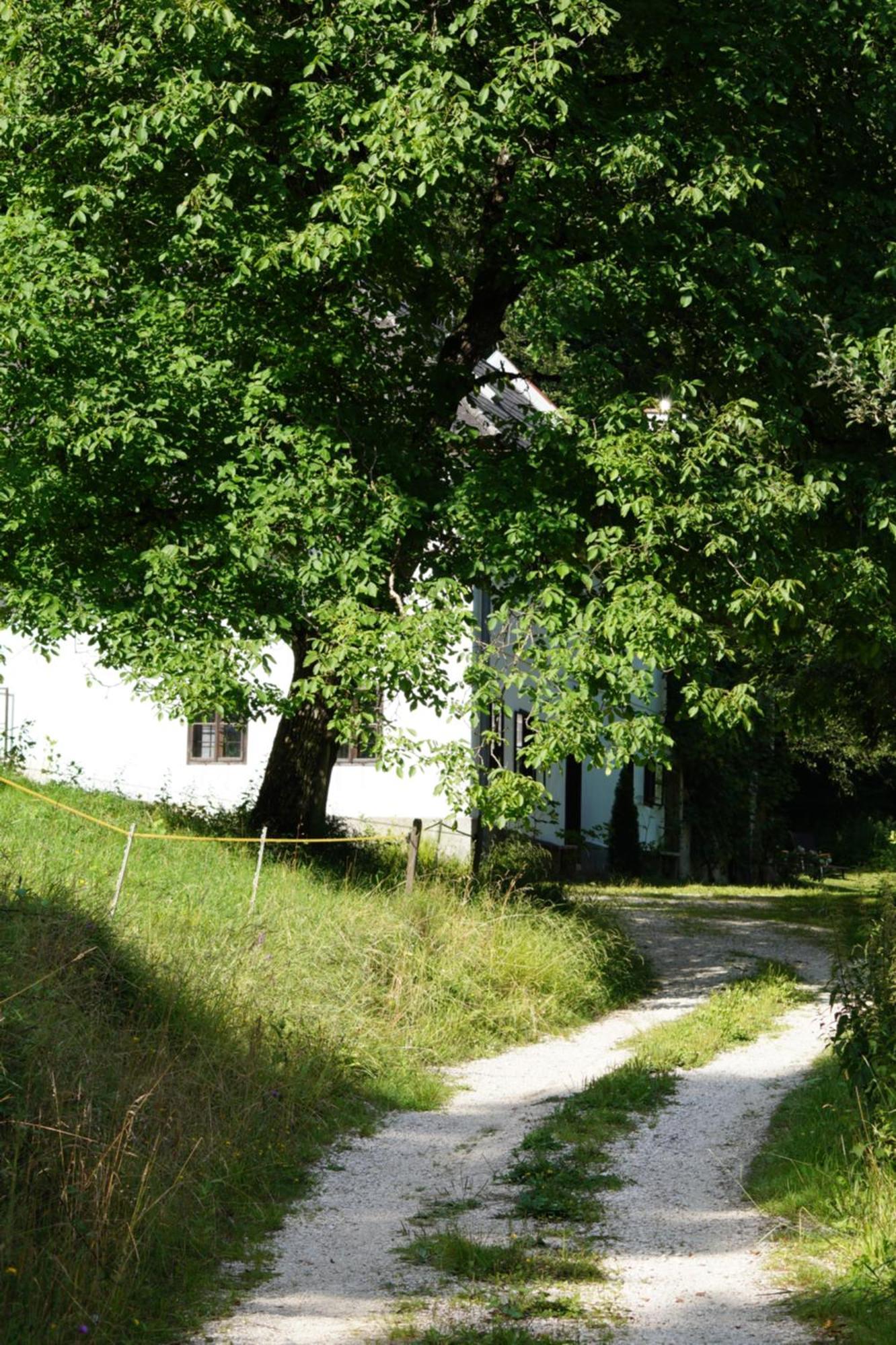 Forsthaus Gut Traunfried Villa Ramsau am Dachstein Exterior photo